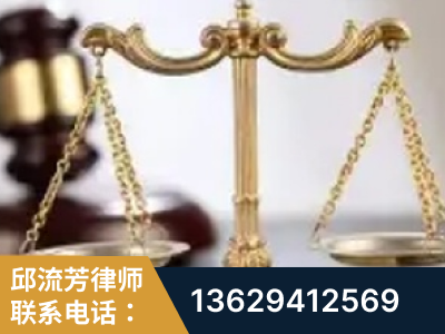 肇庆-委托诉讼代理人出庭
